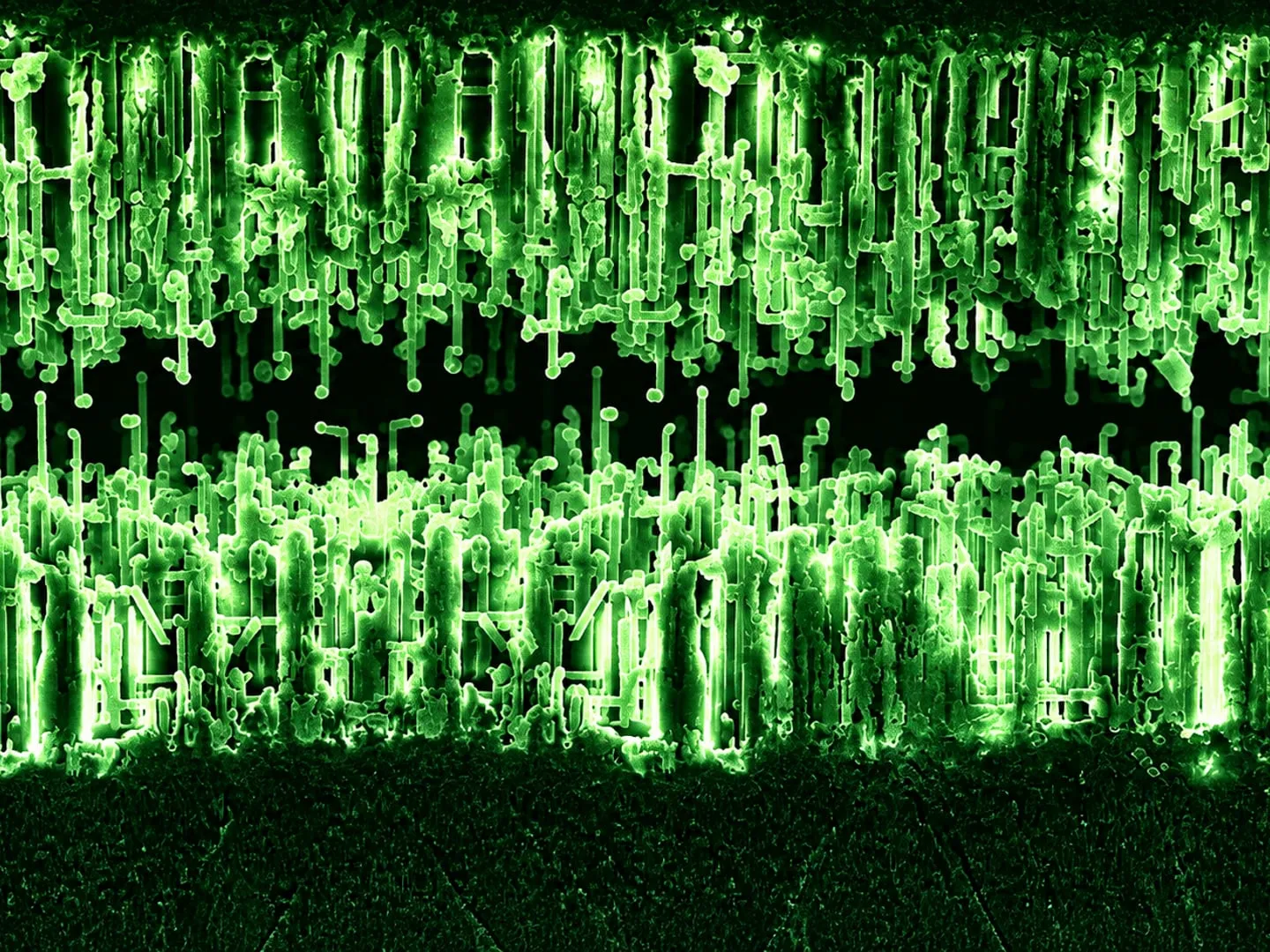 Foil etching seen under a microscope